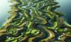 Golfing Destination: Discover Bellville Golf Club’s Charm