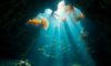 Belize Diving: Explore Breathtaking Underwater Wonders