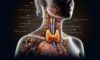 Thyroid Blood Test: Reliable and Fast Service in Aylesbury