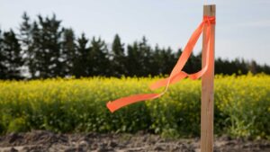 Subdivision Surveys: Essential Guide for Clyde North Residents