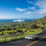 Maui Upcountry Adventure: Hidden Gems and Scenic Routes