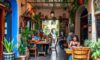 Unique Flavours: Discover Cafes in San Miguel de Allende