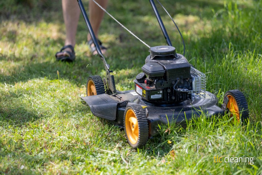 Grass Cutting Services: Top Tips for Yeovil Lawns