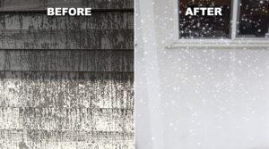 Uncover the benefits of eco-friendly home washing by Housewash PA