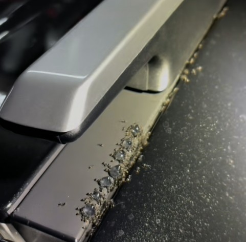 Ant Infestation in Your Schofields Car: Effective Management Tips