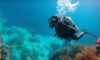 Big Blue Hole Diving: Key Tips for Adventurous Explorers