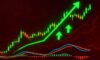 MACD in Crypto Trading: Key Insights for Novice Traders