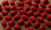 Dried Barberries: Authentic Persian Recipes Unveiled
