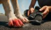 Dog Safety on Pavements: Crucial Summer Tips