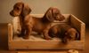 Puppy Comfort: Design a Snug Crate for Your Dog