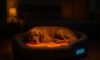 Temperature-Controlled Beds: Ultimate Comfort for Pets